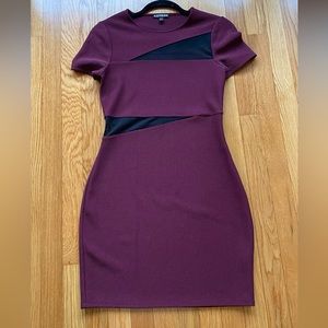 Bodycon Mesh Cutout Minidress | Express